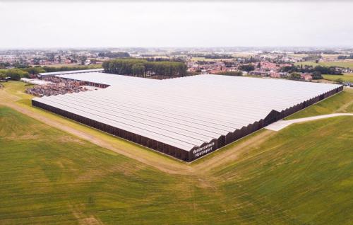 Industriële dakrenovatie